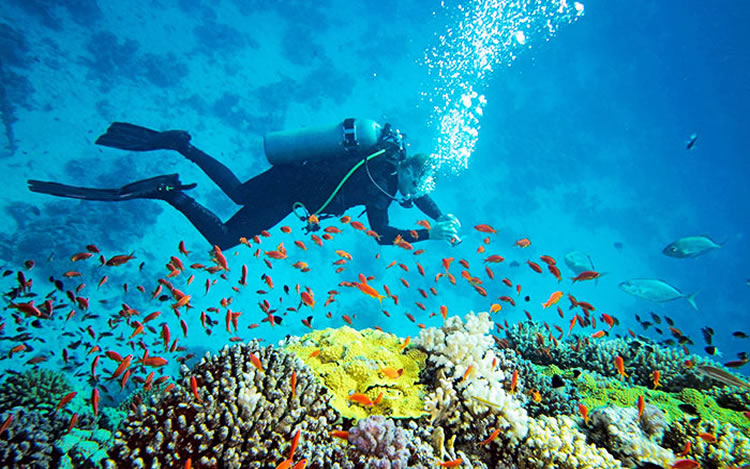 Hikkaduwa Coral Gardens