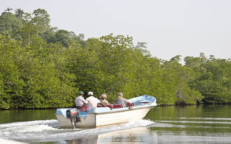 Koggala Boat Safari